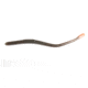Roboworm Straight Tail Worms
