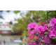 Rokinon 35mm F1.4 UMC Wide Angle Camera Lens for Pentax K Mount, Black RK35M-P