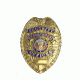 Rothco Deluxe Security Enforcement Officer Badge, Gold, 1916-Gold