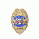 Rothco Deluxe Special Police Badge, Gold, 1926-Gold