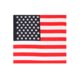 Rothco U.S. Flag Bandana, 4950-27x27Inches