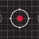 Ruger 10/22 Splash Reactive Adhesive Paper Target Kit, Sight-In Grid, 12.5in Square, 5-Targets Per Pack, 27991