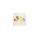 Samco Disposable Transfer Pipets, Graduated, Samco Scientific 222 Large Bulb, Pack
