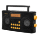 Sangean AM/FM-RDS Portable Radio Specially Designed for the Visually Impaired with Helpful, Black, PR-D17