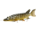Savage Gear 3D Line Thru Pike Swimbait Soft Bait