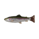 Savage Gear 4D Splitfin Pulse tail Trout 8in Trout, SPT-200-T