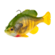Savage Gear Pulse Tail Bluegill Line Thru Soft Bait