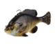 Savage Gear Pulse Tail Bluegill Line Thru Soft Bait