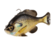 Savage Gear Pulse Tail Bluegill Line Thru Soft Bait
