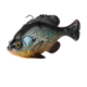 Savage Gear Pulse Tail Bluegill Line Thru Soft Bait