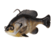Savage Gear Pulse Tail Bluegill RTF Soft Bait
