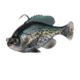 Savage Gear Pulse Tail Bluegill RTF Soft Bait