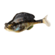 Savage Gear Structure Gill Soft Bait