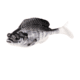 Savage Gear Structure Gill Soft Bait