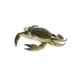 Savage Gear Toughtec Crab Soft Bait