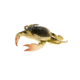 Savage Gear Toughtec Crab Soft Bait