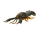 Savage Gear Toughtec NED Craw Soft Bait