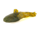 Savage Gear Toughtec NED Goby Soft Bait