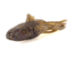 Savage Gear Toughtec NED Goby Soft Bait