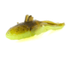 Savage Gear Toughtec NED Goby Soft Bait