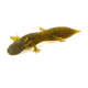 Savage Gear Toughtec NED Salamander Soft Bait