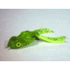 Scum Frog Trophy Scum Frog