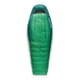 Sea to Summit Ascent Down 15F/-9C Sleeping Bag, Rain Forest Green, Regular, S1123