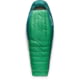 Sea to Summit Ascent Down Sleeping Bag, Rainforest Green, Regular, S1113
