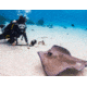 Sealife Aquapod Underwater Monopod, Black SL913