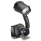 Sealife DC1200 Elite 12 MP Underwater Digital Camera SL708