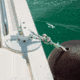 SeaSucker Basic Cleat SeaSucker, 4.5in, MB5724