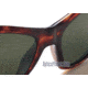 Tortoise Frame