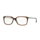 Sferoflex SF1142 Eyeglass Frames C573-53 - Top Havana On Trasparent Green Frame