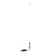 Shakespeare AM/FM Low Profile Stainless Antenna - 25" 55781