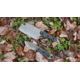 Shed Knives 2023 Skur Fixed Blade Blk Mic