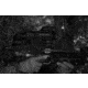 Shinenyx AIM101 384 5.2x48mm Thermal Imaging Rifle Scope, Black, AIM101