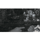 Shinenyx G1A/384 1x5.45-16.5mm Thermal Imaging Monocular with Mount, Black, G1A+Mount