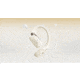 Shokz Two Headphone, Beige, Standard, T920-ST-BG-US