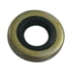 Sierra International 18-2033 Oil Seal, 18-2033