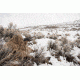 SIG SAUER Whiskey3 4-12x40 1in Tube Hunting Rifle Scope w/Triplex Reticle, Graphite SOW34002