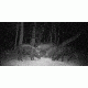 Sightmark Photon XT 6.5x50S Digital Night Vision Rifle Scope SM18009