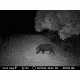 Sightmark Photon XT 6.5x50S Digital Night Vision Rifle Scope SM18009