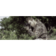 Sightmark Photon XT 4.6x42S Digital Night Vision Rifle Scope SM18008