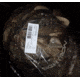 Sightron Real Tree AP Promo Hat, 2104223