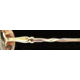 Calligraphy Collections Lifescape 447 SESC 044700 Eyeglass Frames - Pastel Honey SESC 0447005130 BNL