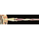 Calligraphy Collections Lifescape 447 SESC 044700 Eyeglass Frames - Pastel Blush SESC 0447005130 RO