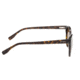 Simplify Clark, dark brown tortoise  brown SSU102-TR