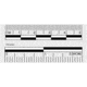 Sirchie - Photo Evidence Scales Removable Adhesive back, 2" 50ea.