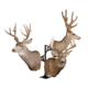 Skull Hooker Trophy Tree Shoulder Pedestal Mount, Black, SKH-STTSM-BLK