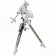 Sky Watcher Computerized GoTo Telescope Mount for EQ6-R Pro, White, S30300